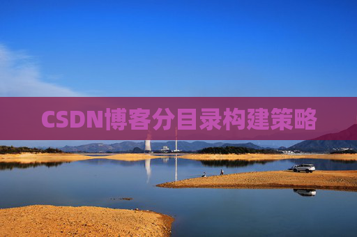 CSDN博客分目录构建策略